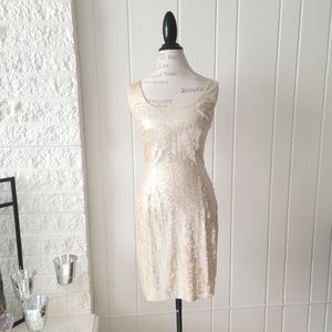 Elegant Cream Sequin Dress